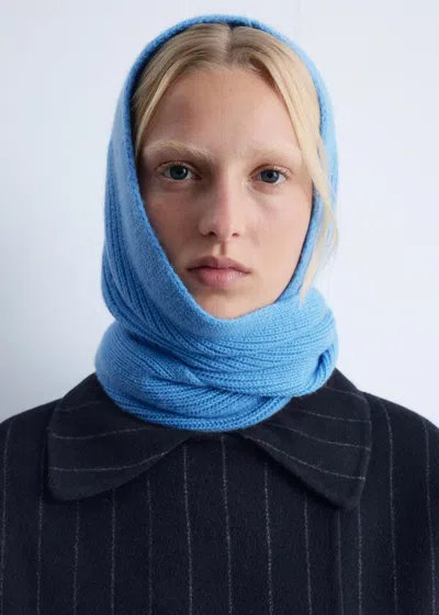 & Other Stories Hooded Wool Scarf In Blue