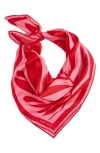 & Other Stories Novalie Satin Scarf In Red