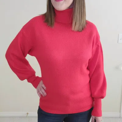 And The Why Turtleneck Sweater In Red
