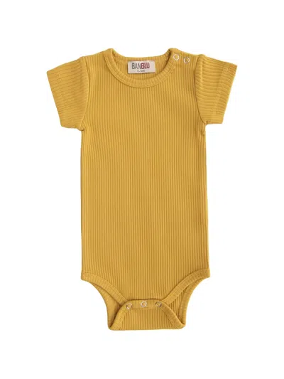 Andblue Babies' Ribbed Short-sleeve Bodysuit In Yellow