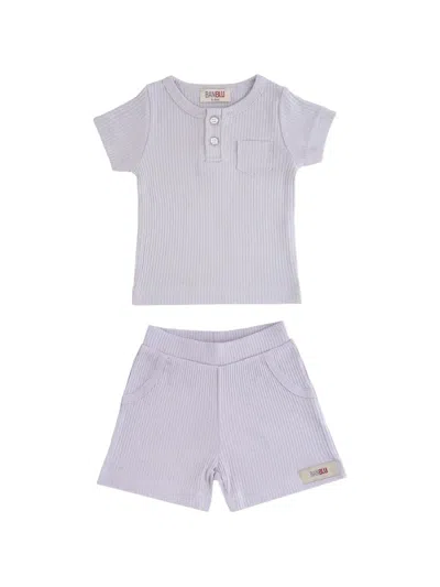 Andblue Babies' Ribbed-knit Short Set In Gray
