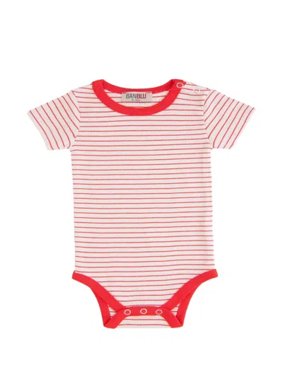Andblue Babies' Striped Ribbed Bodysuit In Multi