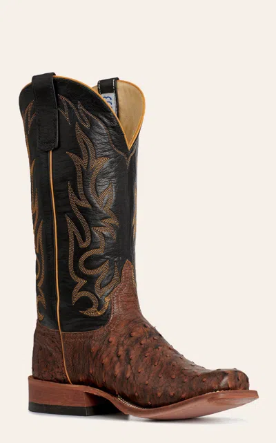 Anderson Bn Anderson Bean Dark Brown Full Quill Ostrich & Black Cutter Toe Boots