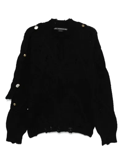 Andersson Bell Black Fisherman Button Sweater