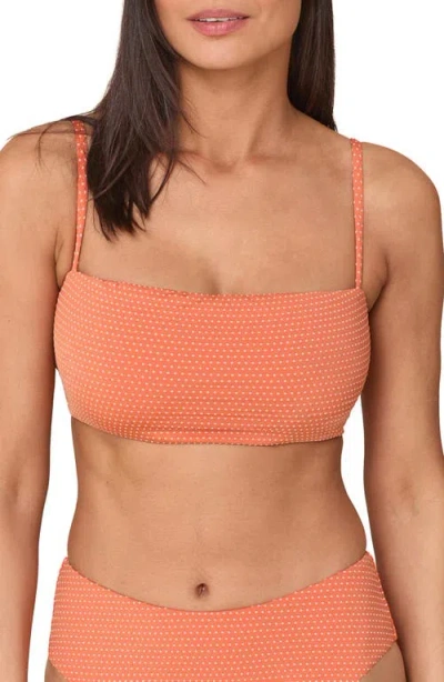 Andie Cabo Bikini Top In Brown