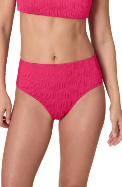 Andie High Waist Bikini Bottoms