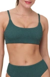 Andie Maui Bikini Top In Green