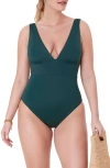 Andie Mykonos Plunge One-piece Swimsuit In Cascade