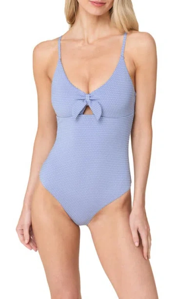 Andie Tenerife One-piece Swimsuit In Blue