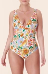 Andie The Augustine One-piece Swimsuit In Bird Floral