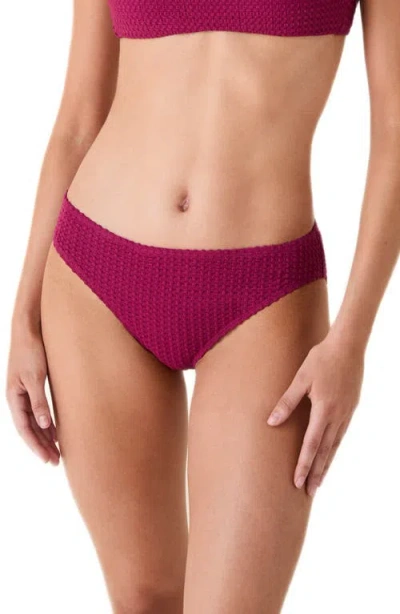 Andie The Bikini Bottoms In Burgundy