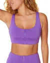 Andie The Venice Crop Top In Purple