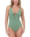 Andie The Sicily One-piece Swimsuit In Eucalyptus