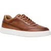 Andre Assous André Assous Andrew Perforated Leather Sneaker In Brown