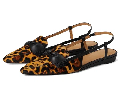 Andre Assous Blake In Brown