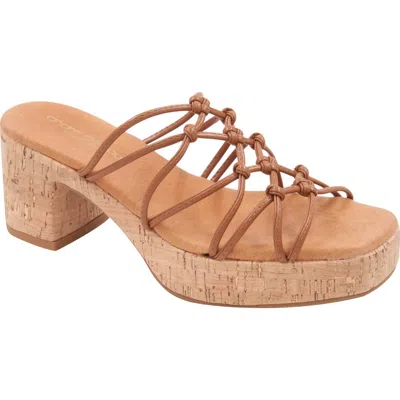 Andre Assous Camryn In Brown
