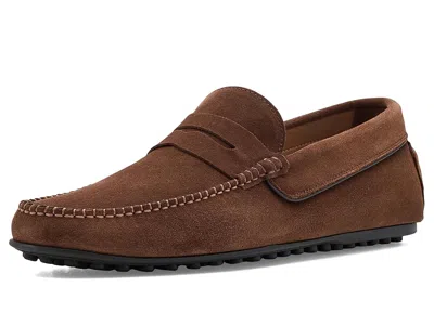 Andre Assous Patrick Men's Shoes Brown Suede: 8.5 M
