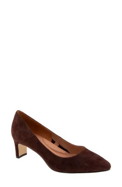 Andre Assous André Assous Wynne Pointed Toe Pump In Cocoa Powder