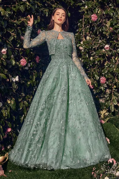 Andrea & Leo Ma104 Long A Line Removable Jacket Formal Prom Dress In Green