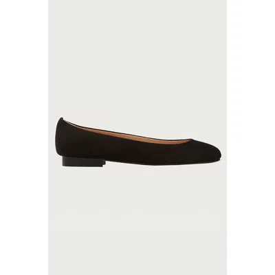 Andrea Carrano Baby Ballet Flat In Black