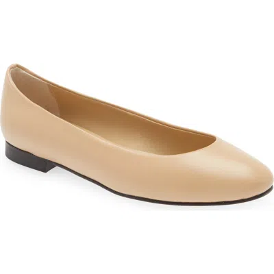 Andrea Carrano Baby Ballet Flat In Brown