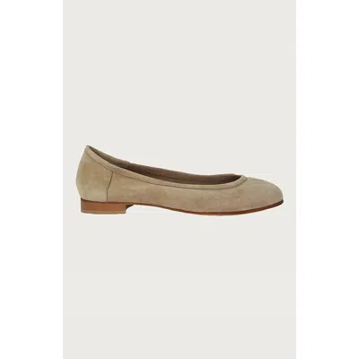 Andrea Carrano Bambolina Ballet Flat In Brown