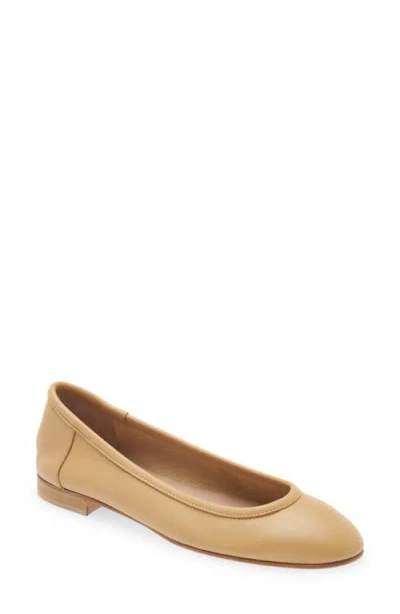Andrea Carrano Bambolina Ballet Flat In Multi
