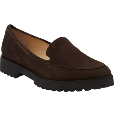 Andrea Carrano Carro Loafers In Brown