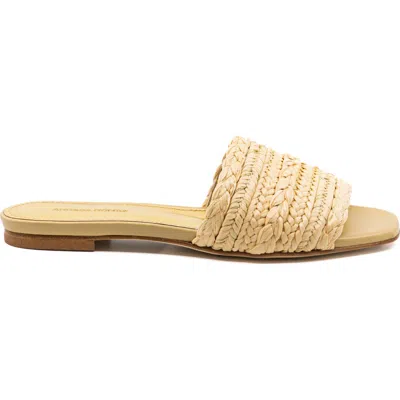 Andrea Gomez Denisse Raffia Slide Flat In Brown