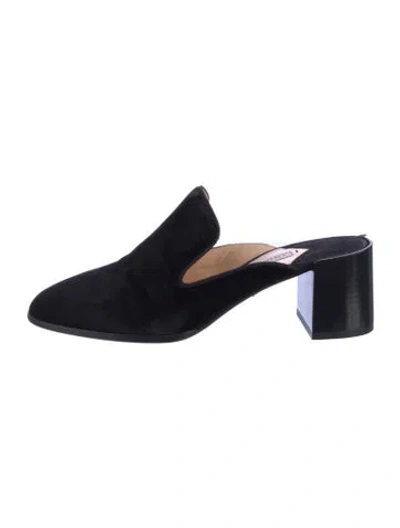 Pre-owned Andrea Gomez Velvet Mules In Black