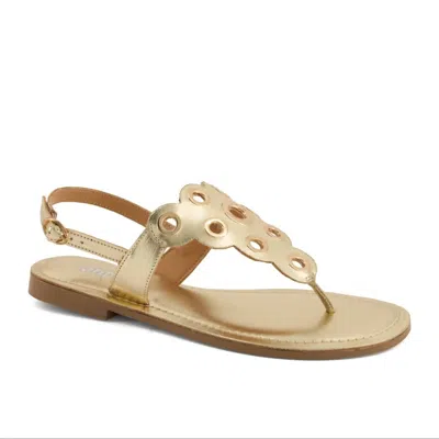 Andrea Women's Flat Sandal In Gold