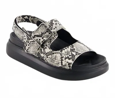 Andrea Women's Footbed Sandal In Multicolored In Black