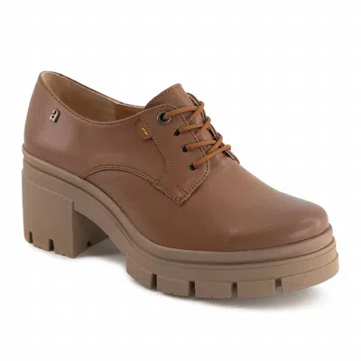 Andrea Women's Heeled Oxfords Shoe In Brown