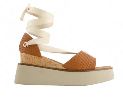 Andrea Women's Ribbon Lace Platform Wedge Sandals In Brown In Multi