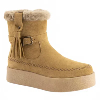 Andrea Women's Suede Winter Ankle Boot In Honey In Multi
