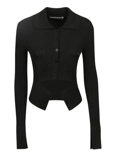 Andreädamo Andreādamo Cardigans In Black