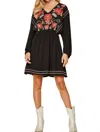 Andree By Unit Embroidered Fit & Flare Dress In Black In Black