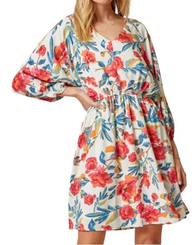 Andree By Unit Made For You Floral Dress In Ivory Multi In White