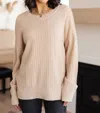 ANDREE BY UNIT TERRIFICALLY TEXTURED SWEATER IN MOCHA