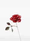 Andres Gallardo Rosetic Brooch In Red
