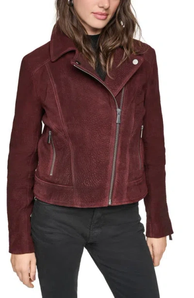 Andrew Marc Castile Nubuck Leather Moto Jacket In Brown