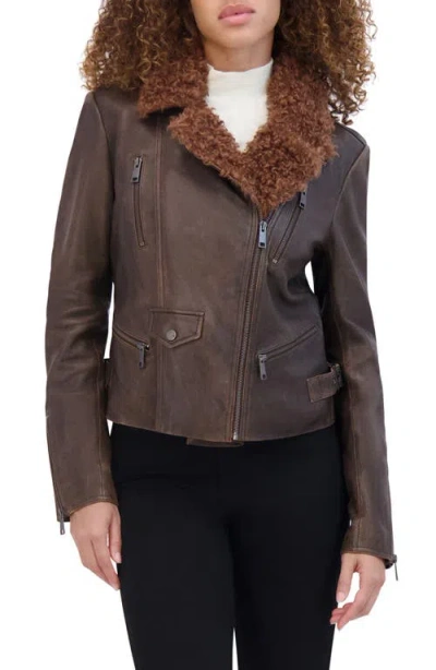 Andrew Marc Paley Leather Jacket With Faux Shearling Collar In Brown