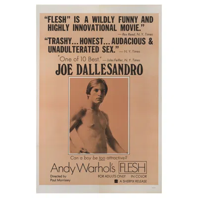Pre-owned Andy Warhol Flesh / 's Flesh In Sand