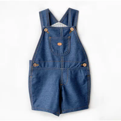 Andy Wawa Babies'  Denim Casual Jumpsuit In Indigo