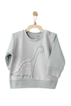 Andy Wawa Dino Dreams Baby Set In Gray