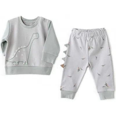 Andy Wawa Babies'  Dino Spikes Adventure Set In Gray