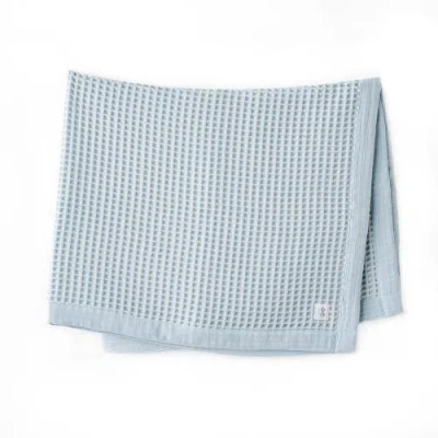 Andy Wawa Pike Home Blanket In Light Blue