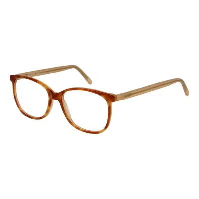 Andy Wolf Acetate Glasses (frames) In Brown