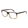 Andy Wolf Unisex Optical Frames In Brown
