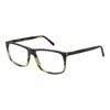 Andy Wolf Olive Unisex Optical Frames In Green